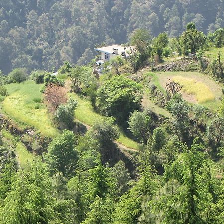 Shimla Nature Ville Экстерьер фото