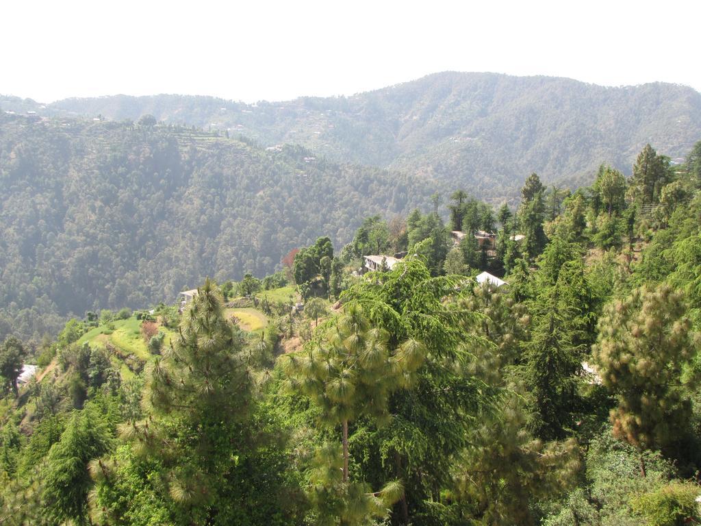 Shimla Nature Ville Экстерьер фото